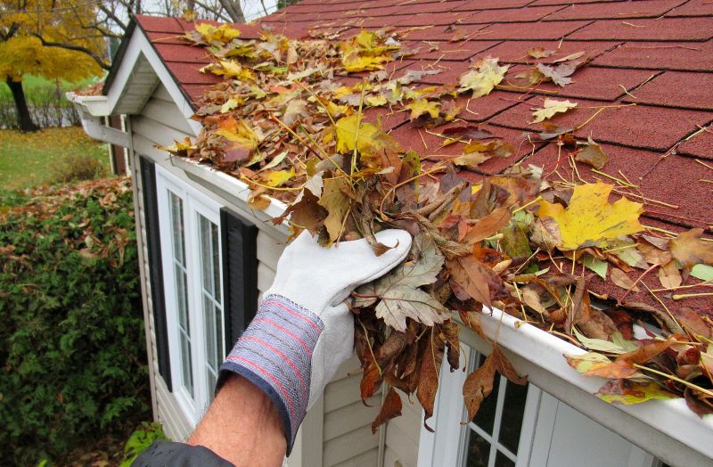 Debris in Gutters